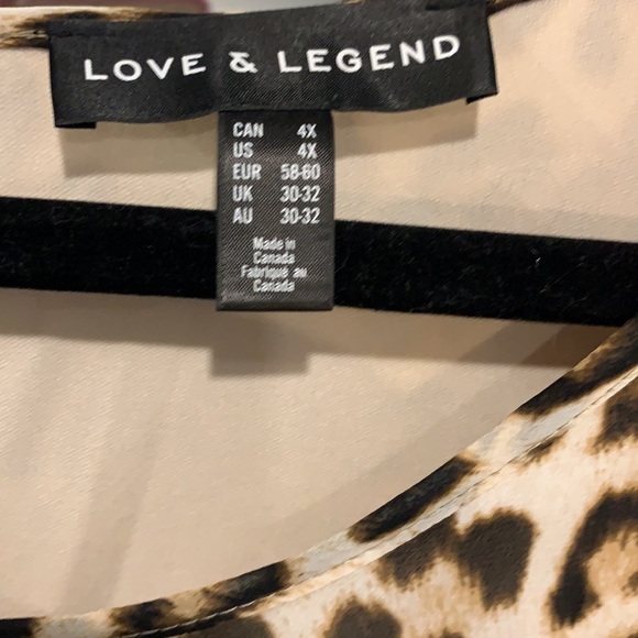 Leopard Print Dress - Picture 2 of 3